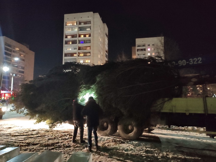 В Озерске установили главную новогоднюю елку